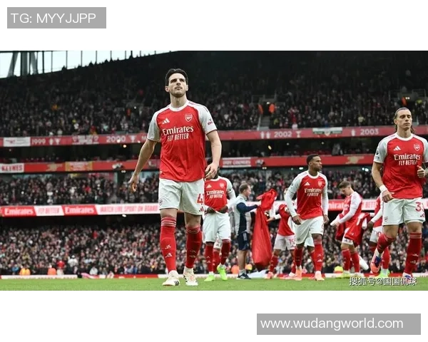 阿森纳1号足球球星是谁 解析球队核心人物的历史与未来